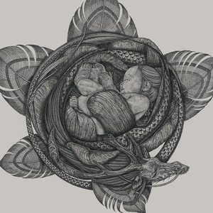 青色大脑手游下载免费
